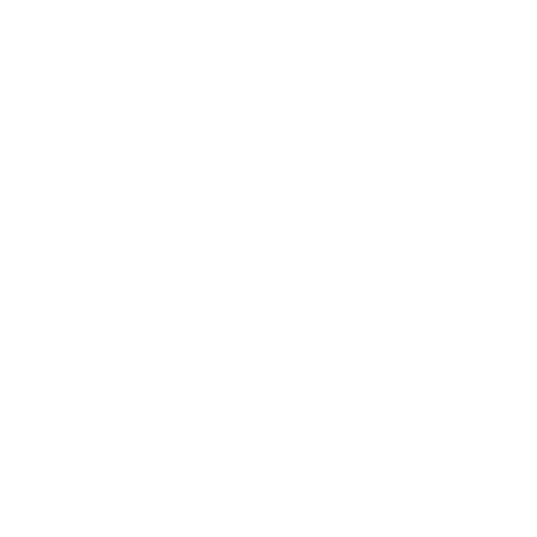 New Money Millionaires L.L.C. Logo